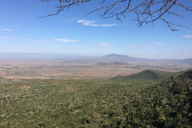1 Day Hells Gate Biking Safari - Wildlife you can actually track: how guides like Simon and Peter add odds