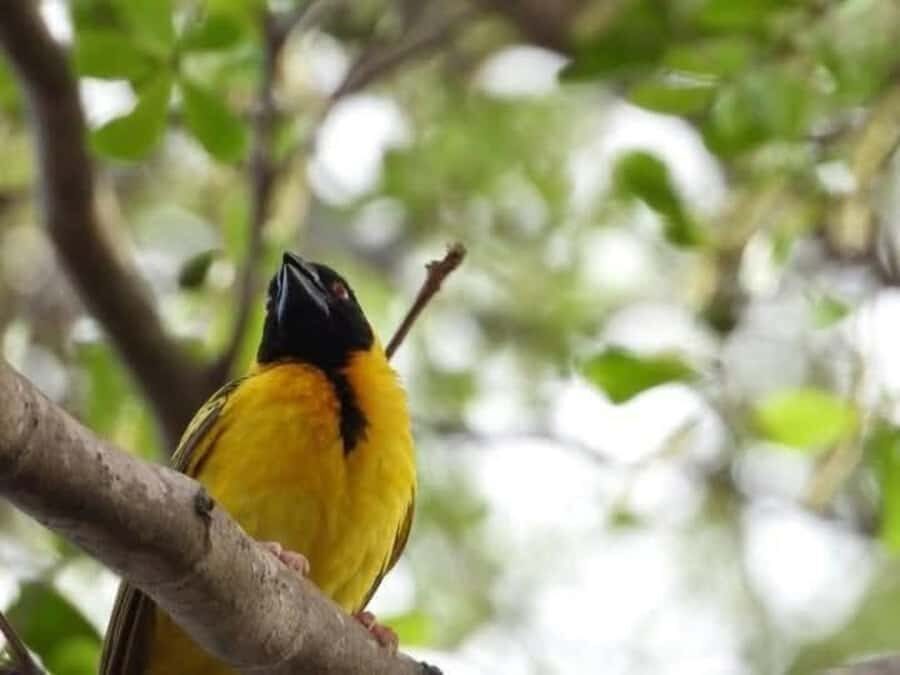 1 day Shimba Hills Tour - Price and value: is $190 per person a fair deal?