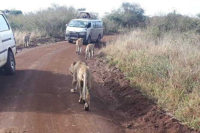1 Day Tour Nairobi National Park,Giraffe Center&Karen Blixen - Karen Blixen Museum: Out of Africa in a Real Nairobi Setting