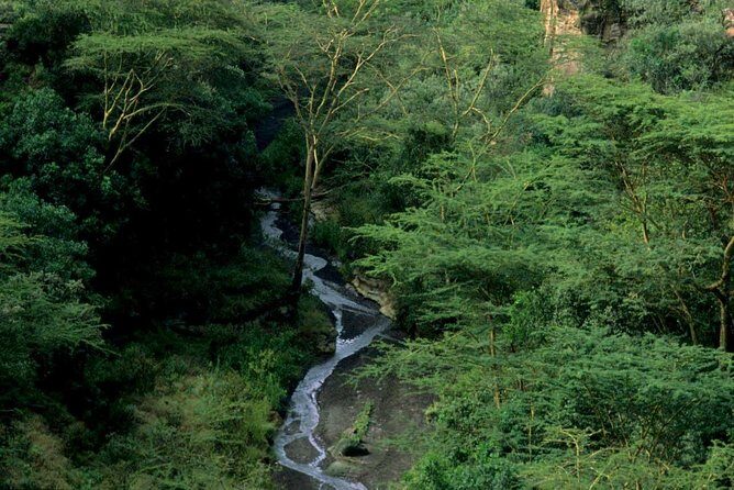 1 Day trip to Hells Gate and Lake Naivasha From Nairobi - Hell’s Gate by Bike: Why It Feels So Different