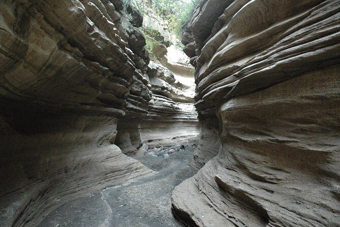 1 Day trip to Hells Gate and Lake Naivasha From Nairobi - Lake Naivasha: The Optional 1-Hour Boat Ride for Hippos and Birds
