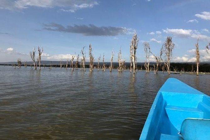 1 Day trip to Hells Gate and Lake Naivasha From Nairobi - The Guides and Drivers: What Makes This Tour Feel Personal
