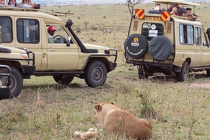 12 Days Kenya and Tanzania Budget Private Safari from Nairobi - Arusha to Nairobi: finish strong without another multi-day travel scramble