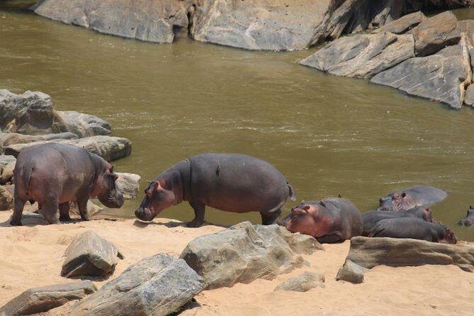 12 Days Kenya and Tanzania Budget Private Safari from Nairobi - Lake Nakuru’s black rhino target: where the Big Five plan gets real