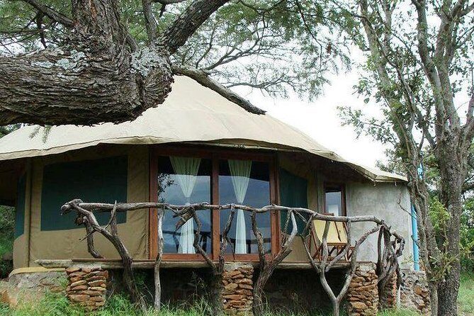 12 days Kenya and Tanzania safari private lodge from Nairobi - Crossing into Tanzania: Serengeti arrives with an evening game drive