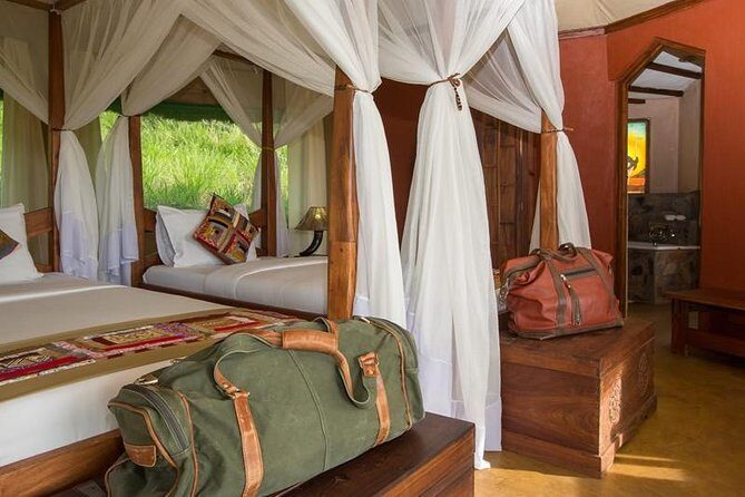 12 days Kenya and Tanzania safari private lodge from Nairobi - Serengeti: two game-drive halves and the timing of migration