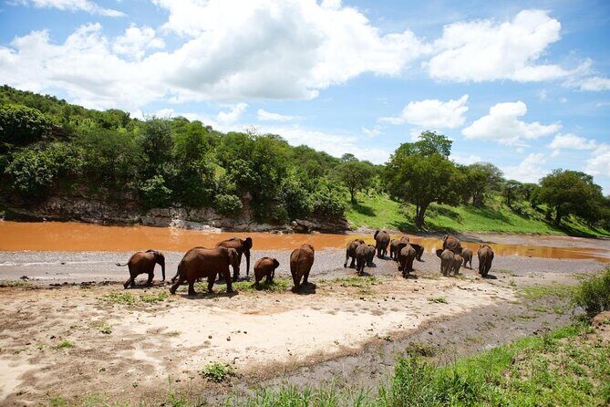 12 Days Kenya & Tanzania Safari Private Lodge Safari from Nairobi - Private Kenya–Tanzania Safari: What You’re Really Buying