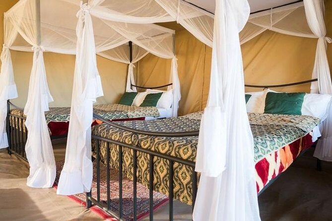 12 Days Kenya & Tanzania Safari Private Lodge Safari from Nairobi - Days 7–8: Serengeti Plains and Ngorongoro Crater Rim—Classic Safari Energy