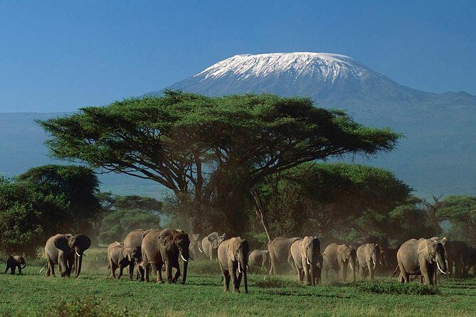 15 Days Classic Kenya & Tanzania + Zanzibar Beach Holiday - Key things you should know before you go