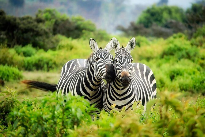 15 Days Classic Kenya & Tanzania + Zanzibar Beach Holiday - Lake Naivasha and Hells Gate: activity after animals