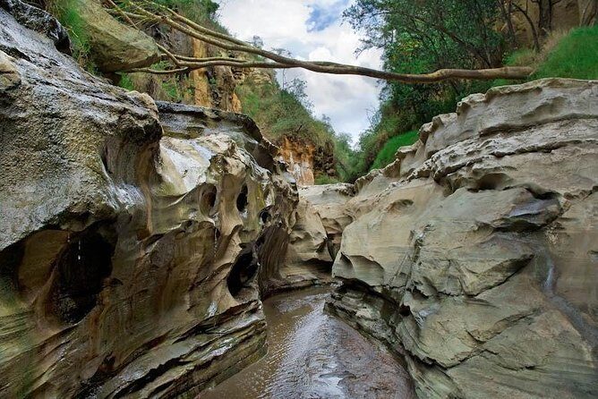 15 Days Classic Kenya & Tanzania + Zanzibar Beach Holiday - Ngorongoro crater and Tarangire: contrast inside Tanzania