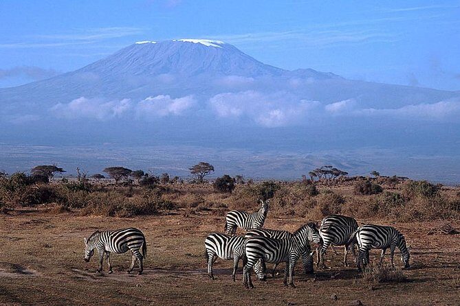 15 Days Classic Kenya & Tanzania + Zanzibar Beach Holiday - Amboseli with Kilimanjaro in the background