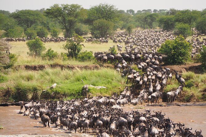 2-Day Private Tour in Masai Mara with Pick Up - Narok breakfast break and the drive through Mara country