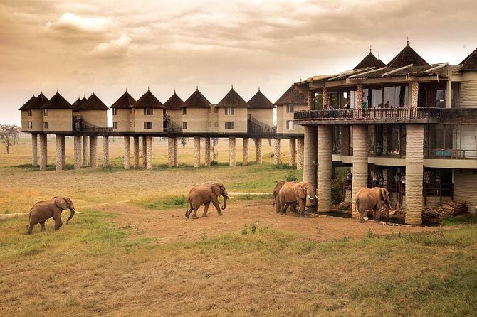 2-Day Safari in Taita Hills from Mombasa - Back to Mombasa: Arriving in the Evening