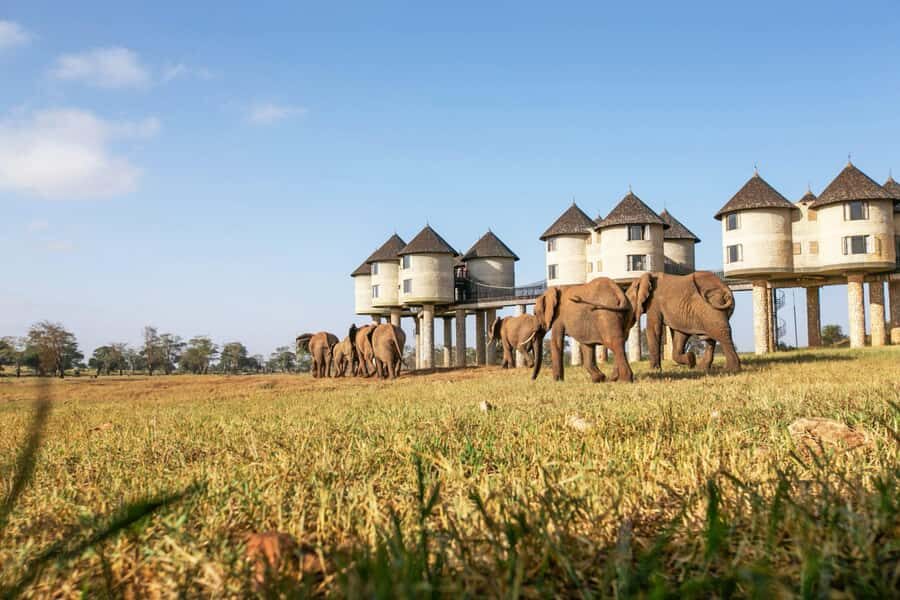 2 days 1 night saltlick safari from Diani/Mombasa - Lunch, rest, and the quiet hour before sunset