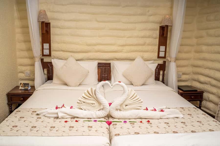 2 days 1 night saltlick safari from Diani/Mombasa - Tips to help you get more out of every drive