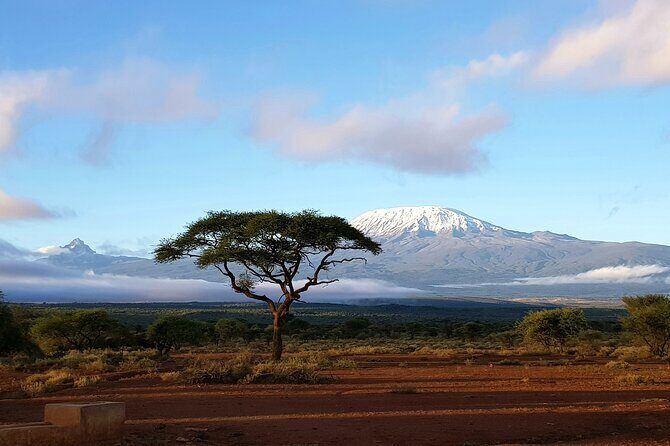 2 Days Amboseli Park Overnight Private Safari - Driver and Coordination Quality: A Small Detail That Changes Everything