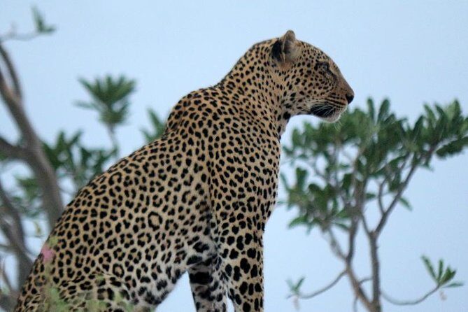 3-Day Maasai Mara Guided Safari From Nairobi - The Road From Nairobi to Maasai Mara: Rift Valley Time on Purpose