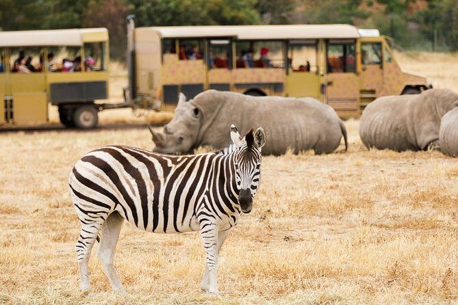 3-Day Maasai Mara Guided Safari From Nairobi - Maasai Village Add-On: Culture Time Without Forcing It