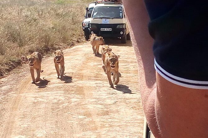 3 Day Maasai Mara & Migration safari - Who should book this 3-day Mara safari, and who should think twice