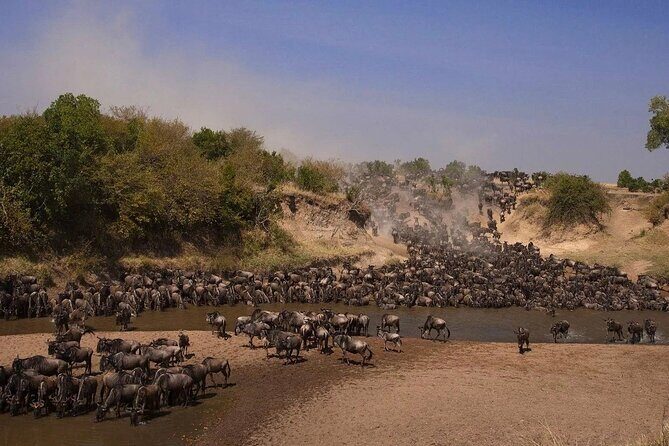 3-Day Masai Mara Group Safari with Pick Up - Key Things That Make This Safari Worth Your Attention