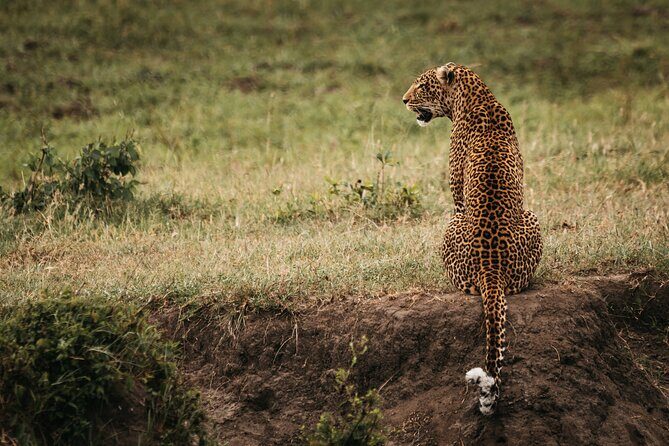 3-Day Masai Mara Luxury Safari - Luxury camp nights: what the included comfort really means