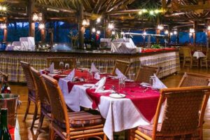3 Day Masai Mara Safari - First Game Drive in the Masai Mara: Chasing Lion and Making Contact