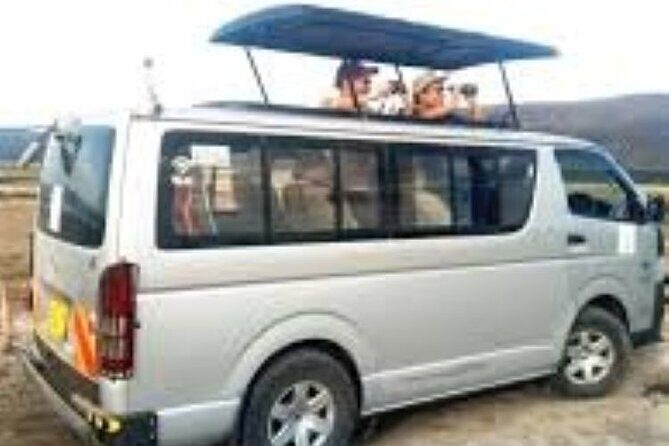 3-Day Masai Mara Safari Tour - Day 3: Morning Game Drive, Then Back to Nairobi Early Evening