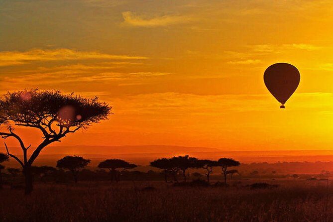 3-day Masai Mara Safari Tour to see the big five and wildebeest migration - Your Tented Camp Night: Comfort, En-Suite Convenience, and Bush Sounds