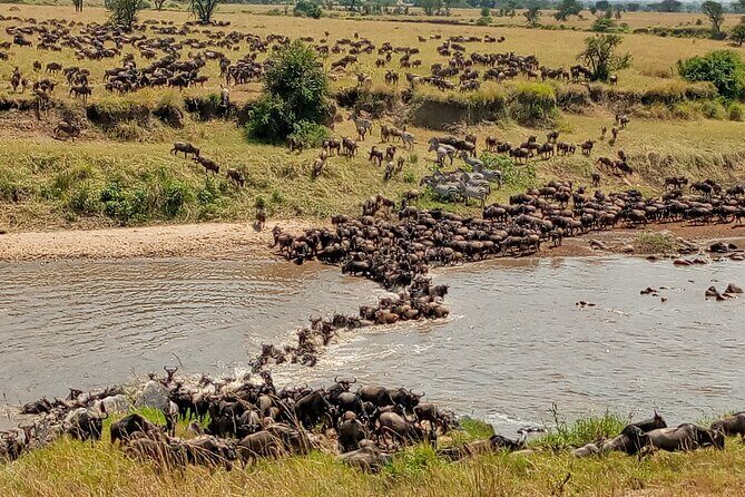 3 Day Private 4x4 Jeep Tour in Masai Mara Safari - Masai Mara in three days: what you’re really signing up for