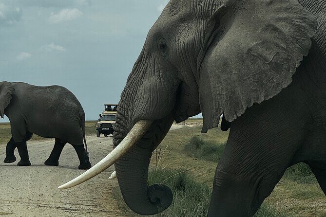 3 Day Private Tour in Maasai Mara with Lodge Luxury with Jeep - Key Things That Make This Maasai Mara Safari Worth Your Attention