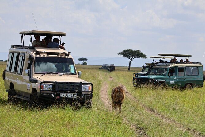 3 Day Private Tour in Maasai Mara with Lodge Luxury with Jeep - The Jeep and Guide Setup: Why This Matters More Than It Sounds