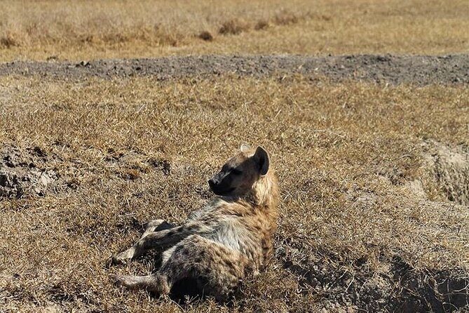 3-Day Safari Tour in two National Parks - A three-day safari that actually fits a Diani beach plan