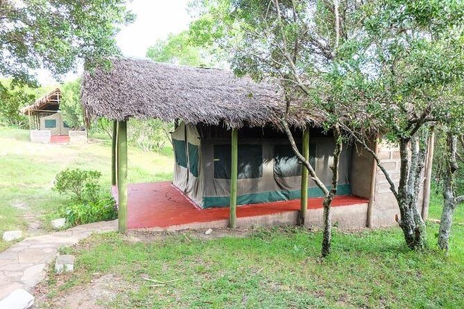 3 days 2 nights budget group safari to Maasai Mara National Reserve - Day 2: Full-Day Game Drives, Radio Calls, and Mara River Hippos