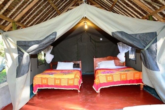 3 days 2 nights budget group safari to Maasai Mara National Reserve - Where You’ll Sleep: Enkajiang or Rhino Tourist Camp (and Why Camp Names Matter)
