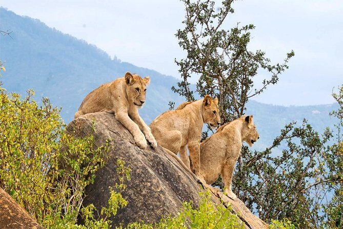 3 Days, 2 Nights Safari - Amboseli National Park and Tsavo West Adventure Safari - Who this safari fits best (and who should think twice)
