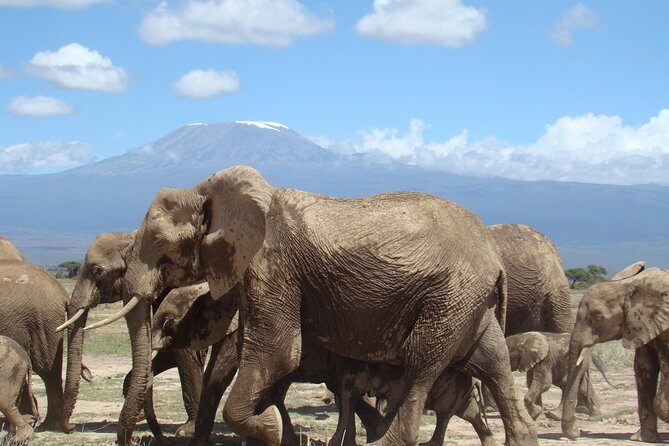 3 days, 2 nights safari to Amboseli National park from Nairobi - Observation Hill: panoramic views without the long hike