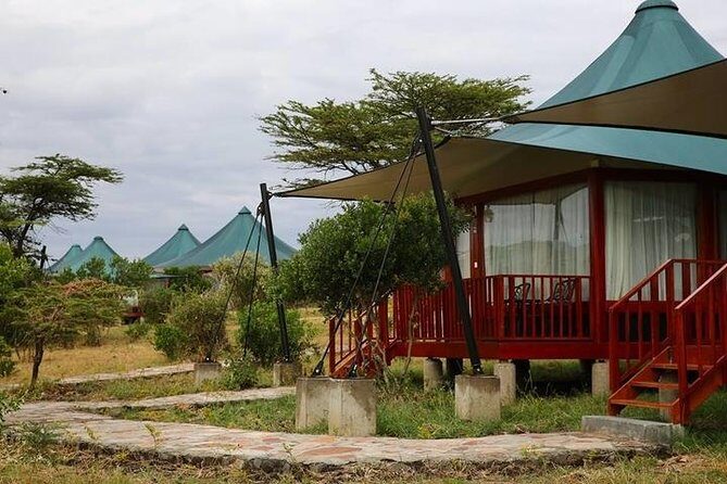 3 days, 2 nights safari to Amboseli National park from Nairobi - Day 3 return to Nairobi with a final wildlife glance