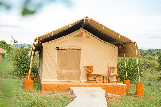 3 Days Best of MasaiMara Wildlife Private Safari, Mid-Range offer - Why Maasai Mara is the obvious target for a 3-day safari