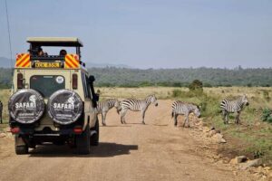 3 Days Best of MasaiMara Wildlife Private Safari, Mid-Range offer - Nairobi to the Reserve: plan for a long, early road morning