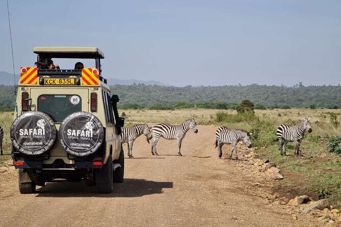 3 Days Best of MasaiMara Wildlife Private Safari, Mid-Range offer - Nairobi to the Reserve: plan for a long, early road morning