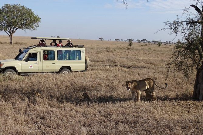 3 days group joining safari to Maasai Mara with a Land Cruiser Jeep - Price and what you still pay at the gate
