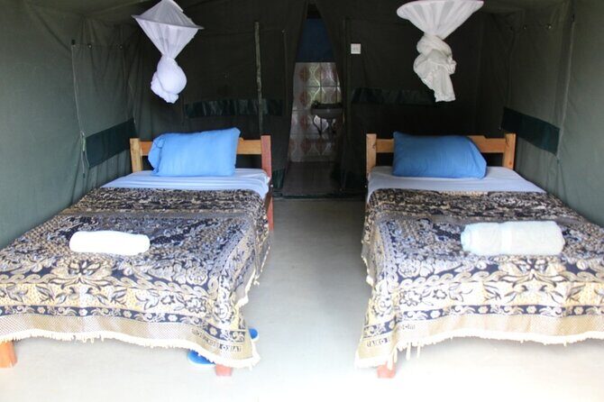 3 days group joining safari to Masai Mara with a Land CruiserJeep - Price and logistics: is $217 good value here?