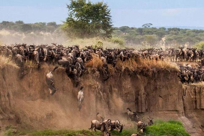 3 Days Maasai Mara Guided Safari from Nairobi - Day 1 sunset game drive: your first big win