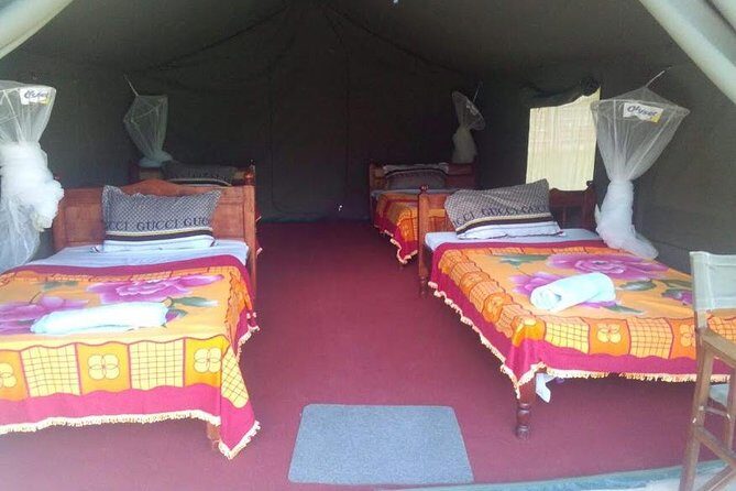 3 Days Maasai Mara Guided Safari from Nairobi - Mara River on Day 2: hippos, crocodiles, and the Big Cats hunt