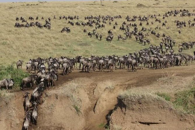3 Days Maasai Mara Guided Safari from Nairobi - Day 2 second drive: why full-day time beats a rushed checklist