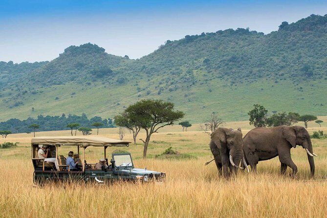 3 days Maasai Mara Luxury Safari - Day 2 in the Mara: Flexible Game Drives and the Optional Masai Village
