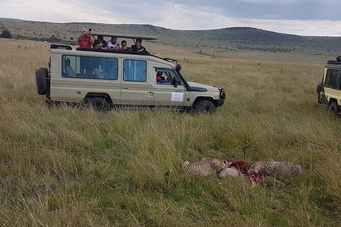 3 Days Maasai Mara Private Safari - Day 1 in the Mara: sunset hunting and camp life