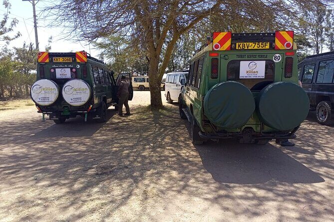 3 Days Maasai Mara Private Safari - Day 2: the early start and the full-day drive that delivers