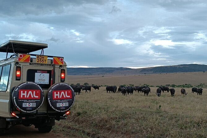 3 Days Maasai Mara Private Safari - What Maasai Mara gives you: Big Five chances and more than that